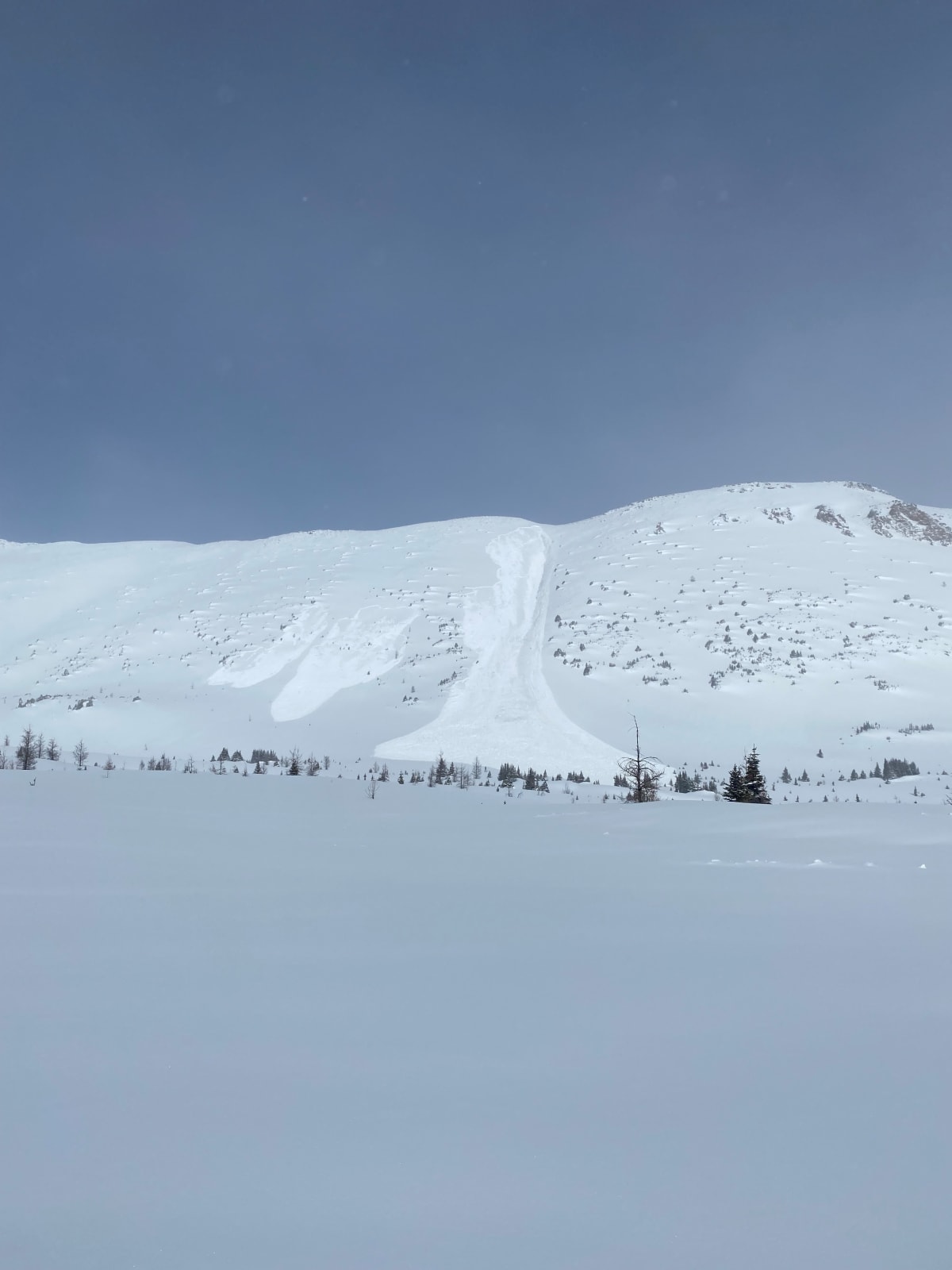 Photos from Lake Louise Snow Safety