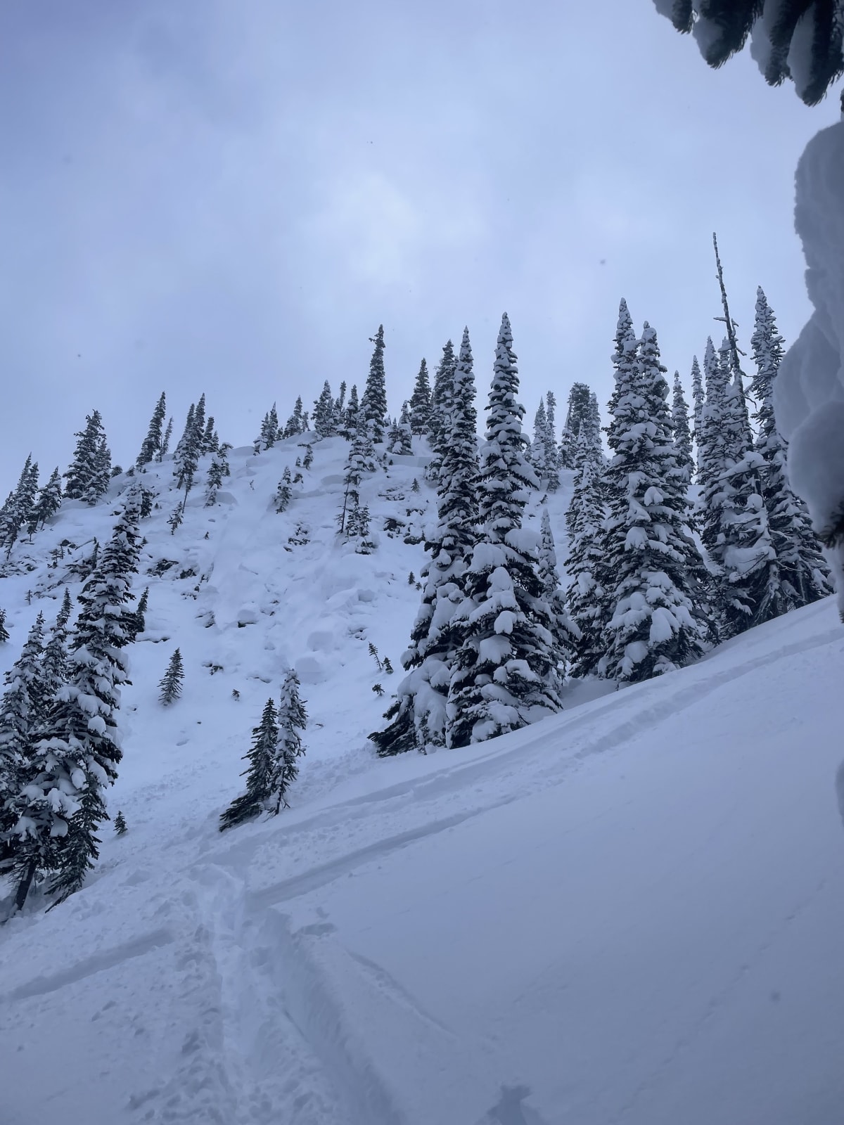 Approx 45-60 crown depth 