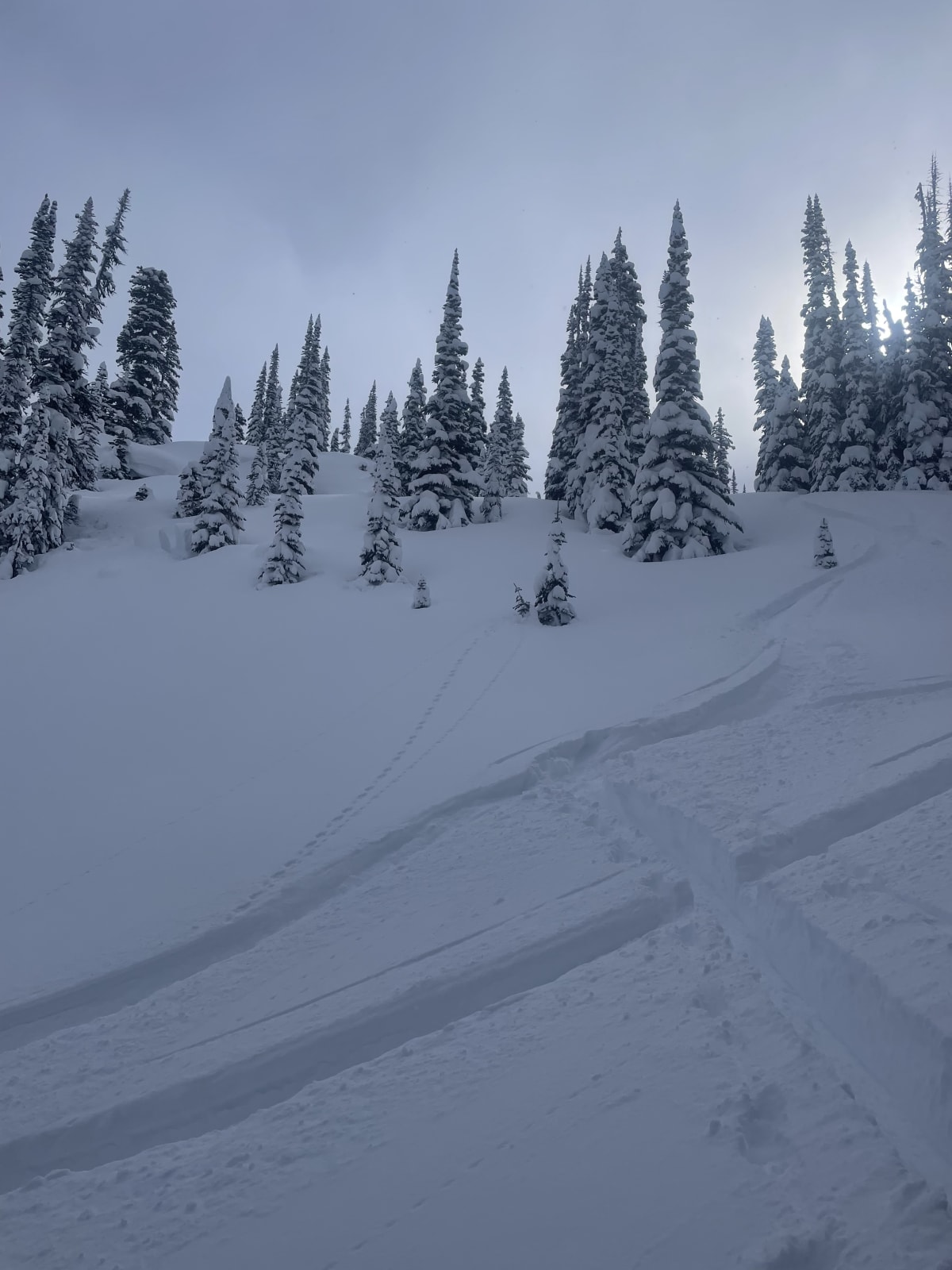 Remote trigger 50M from ski tracks 