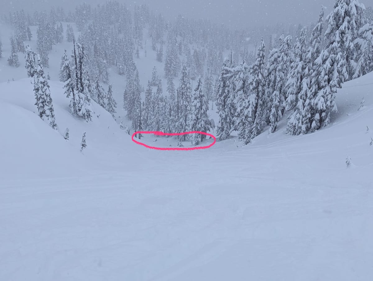 From standing on the skin track/road looking down at the gully. Area in pink is what slid