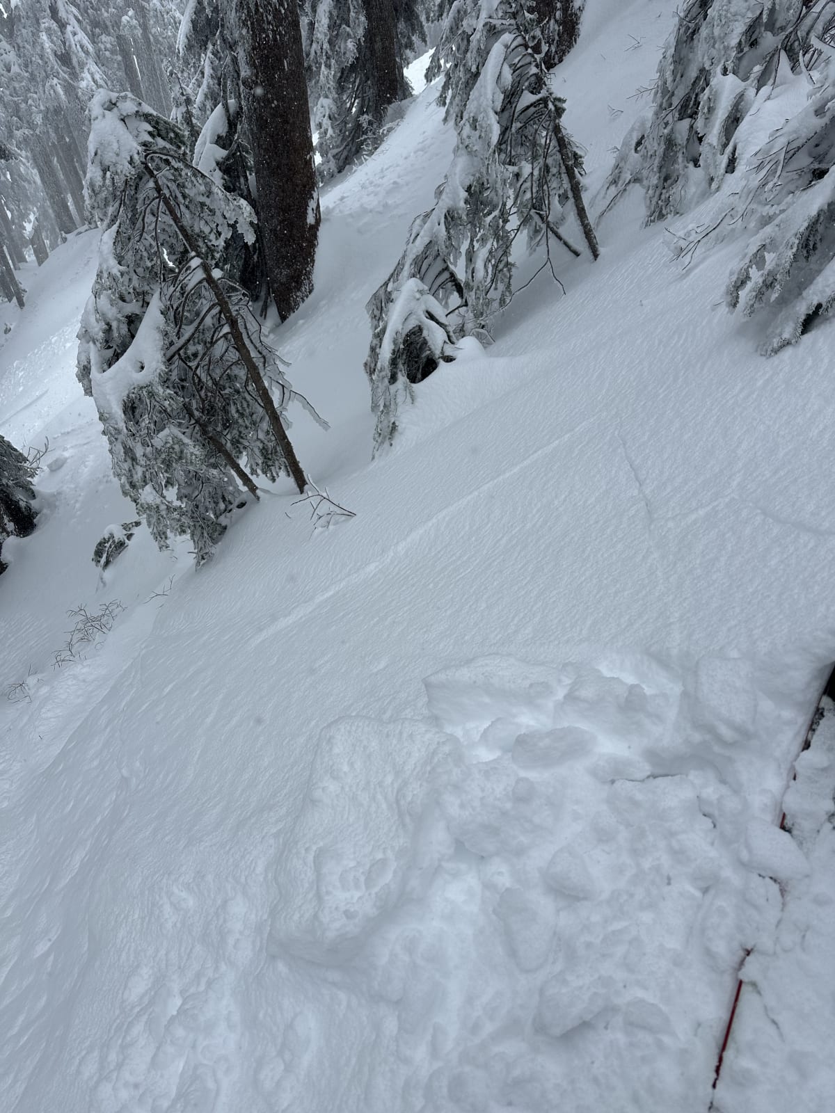 Small shooting cracks on steep Lee features 