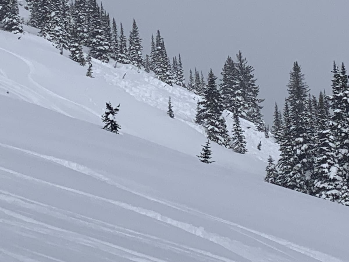 Size 1.5-2 remote trigger. SE 2000 m