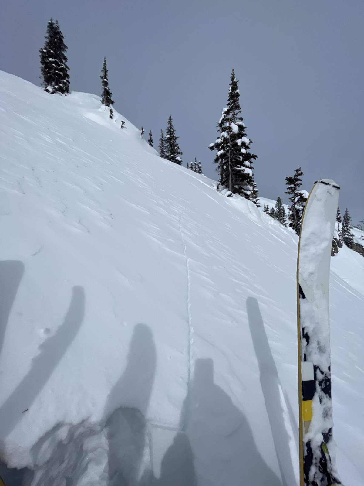 The crack extended 10-15m on either side of the intended profile site.