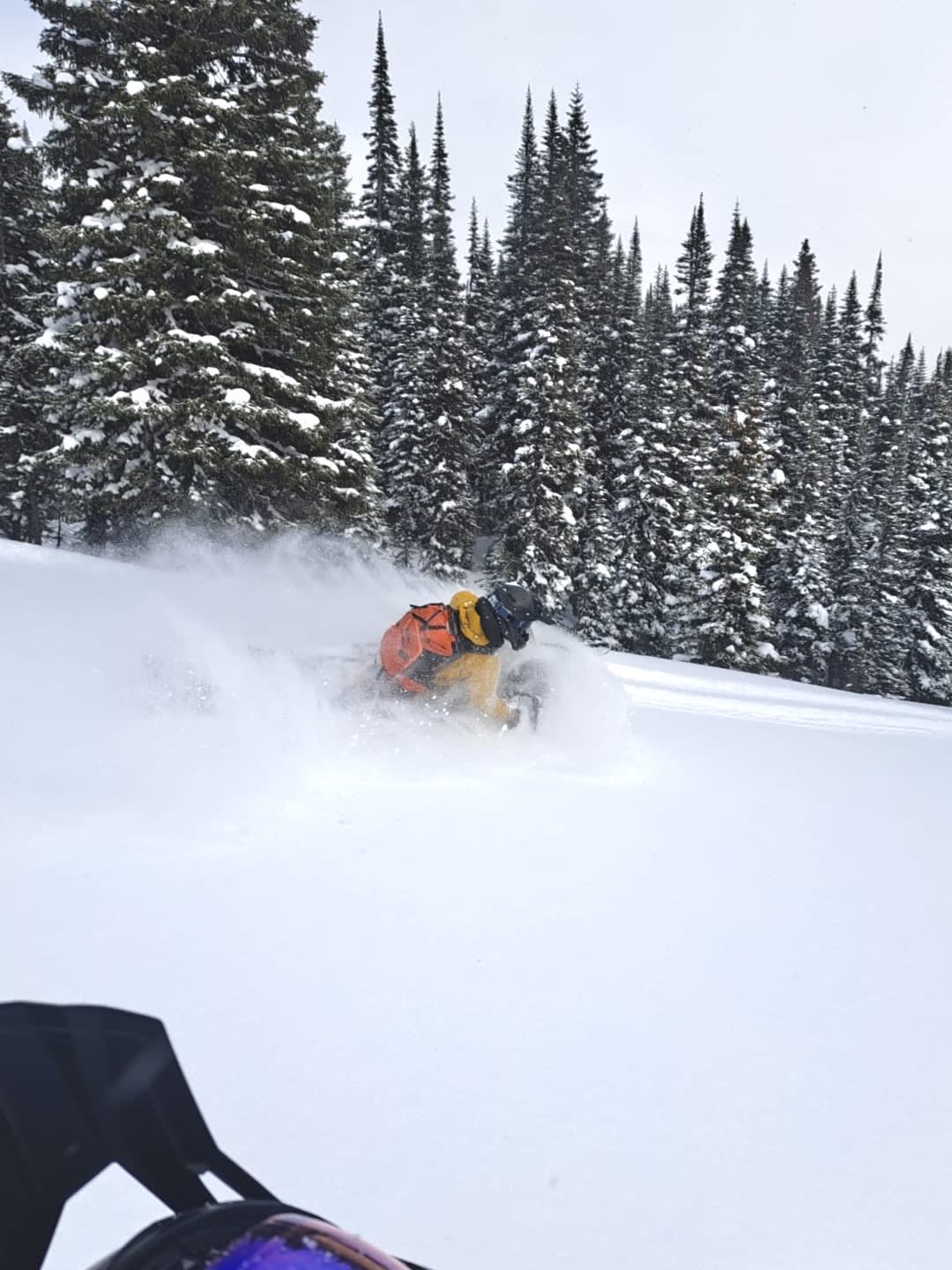 the best snow was in small openings just below treeline. Tree riding to find them was pretty fun too. 