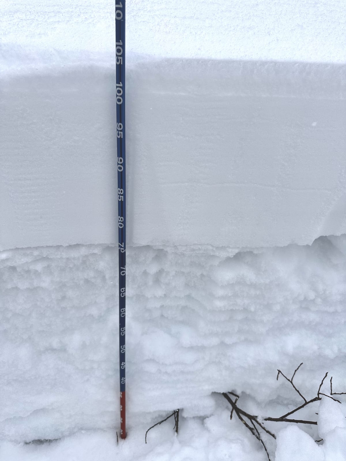 30 cm of soft snow overlie a series of crusts and facets that makle up the whole lower snowpack at treeline and below. 