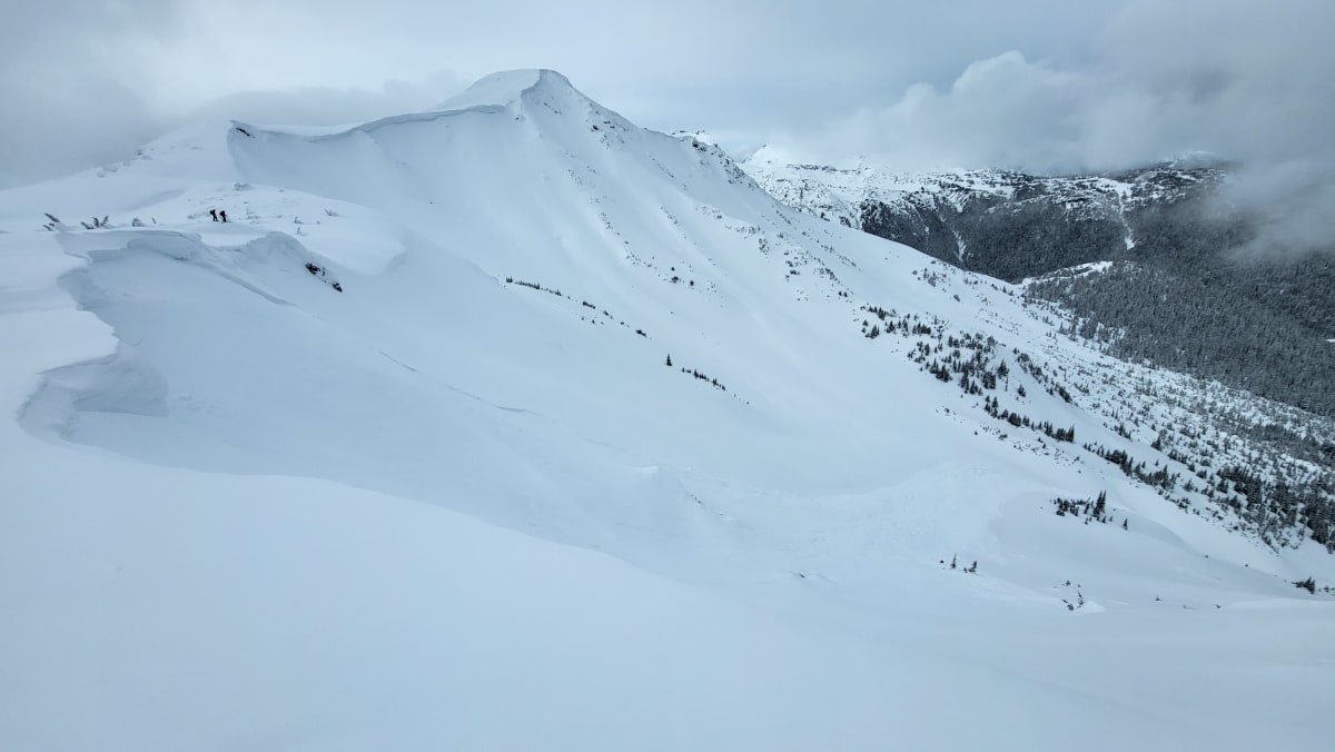 Avalanche 4 (missed taking a photo of avalanche 3). Triggered while walking along the flats on the ridge top.