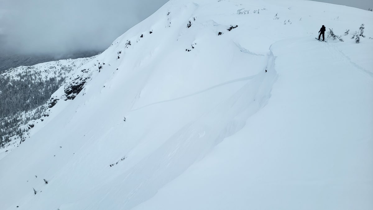 Avalanche 4 crown from other direction