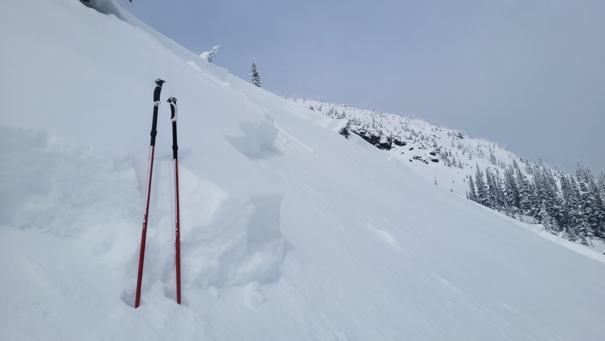 Avalanche 1 crown 50cm thick