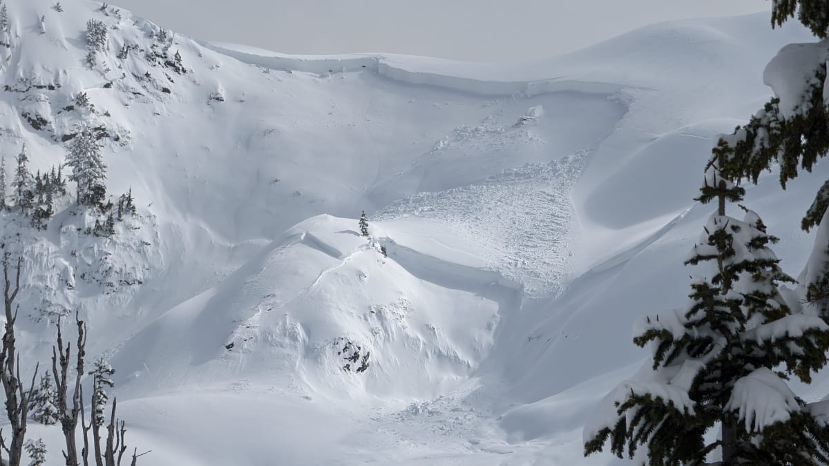 Clear view of the 280cm crown.