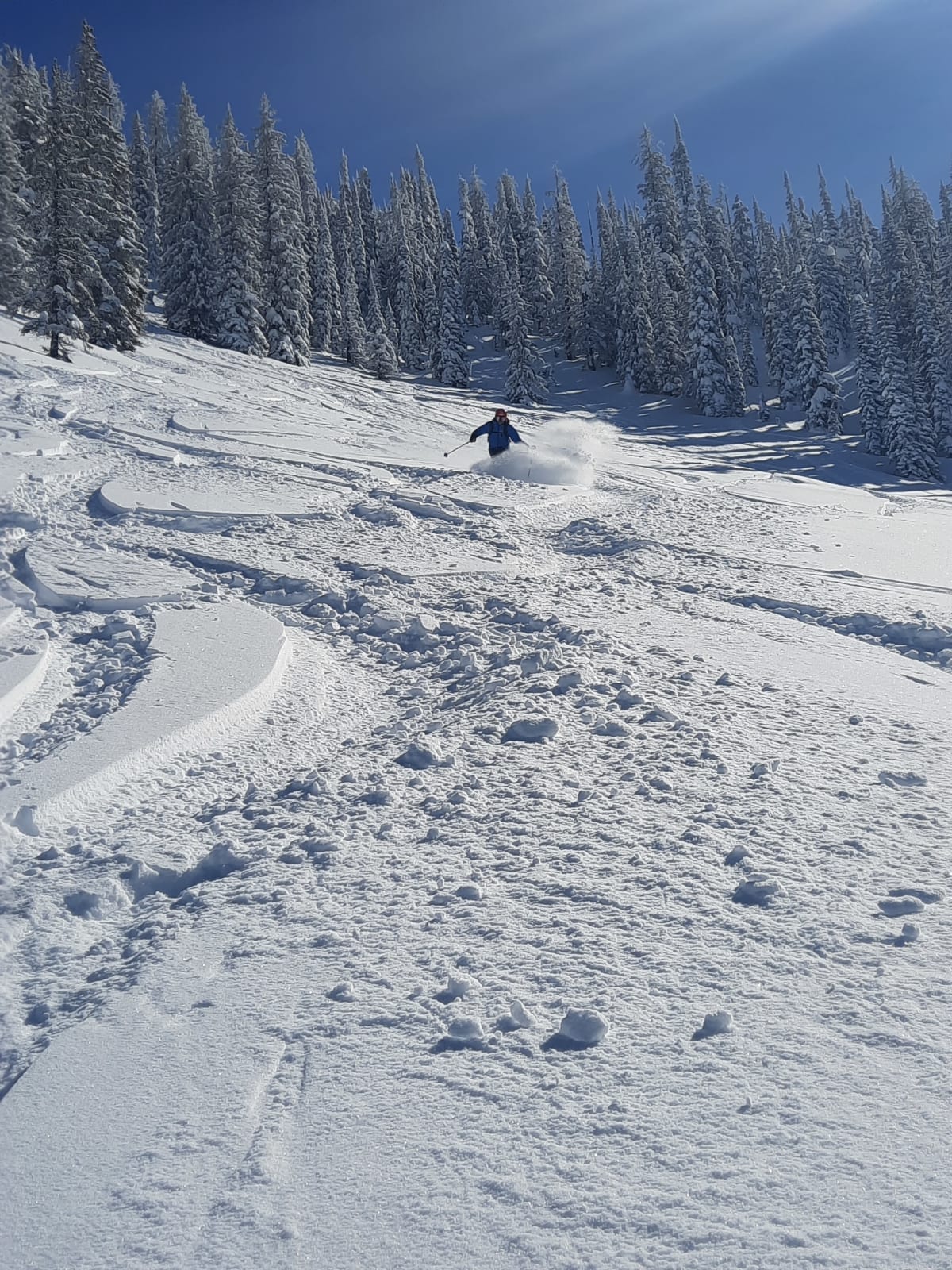 Nice snow on north facing slopes.
