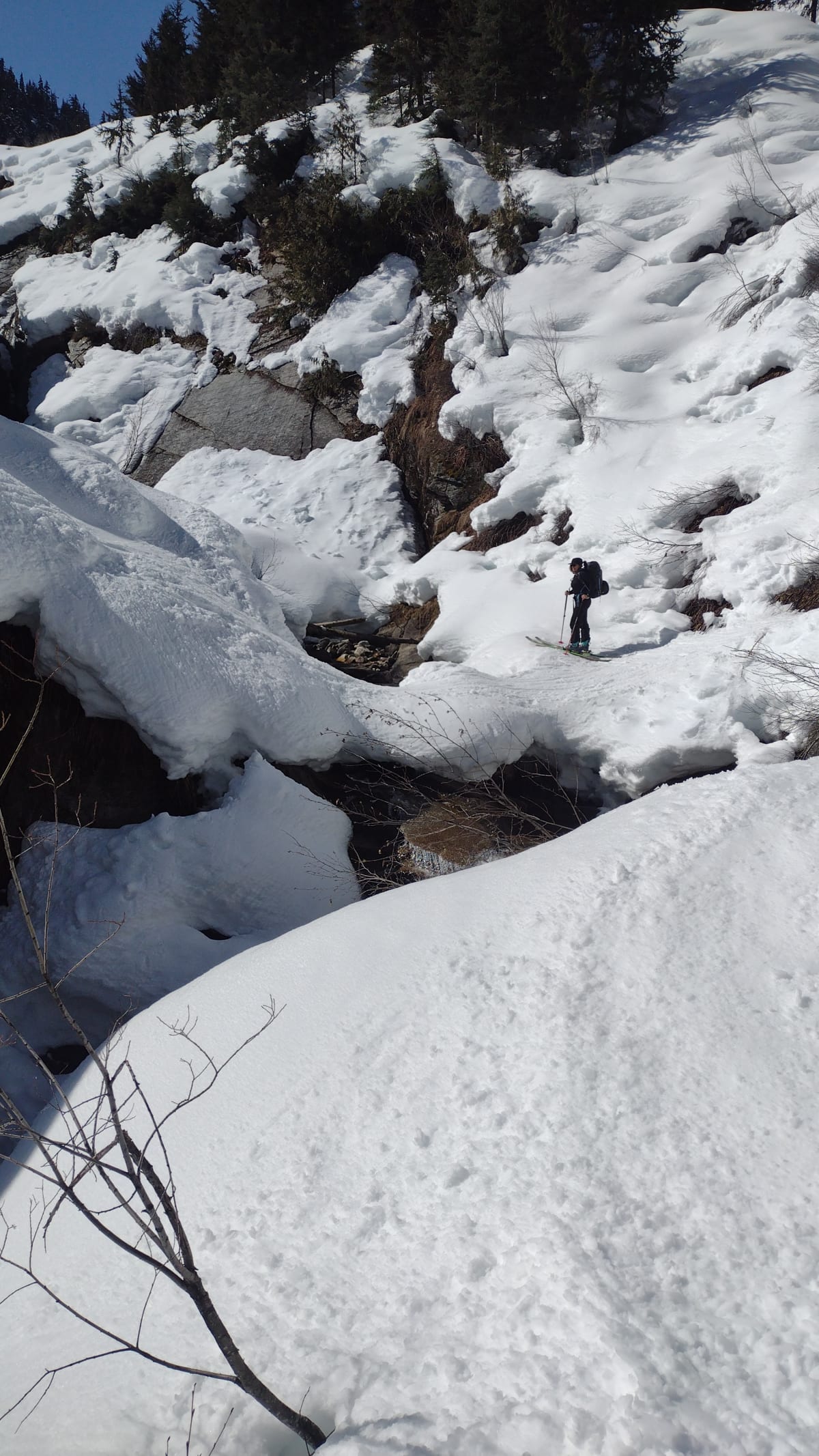 The elephant trunk. A little spicy and exposed