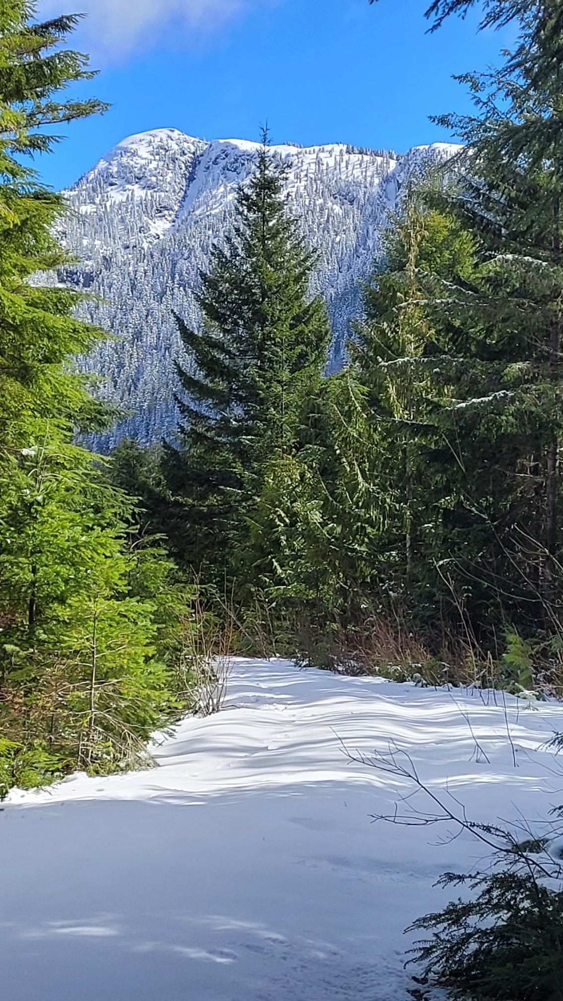 Looking over toward Waring Peak from the Alston road.