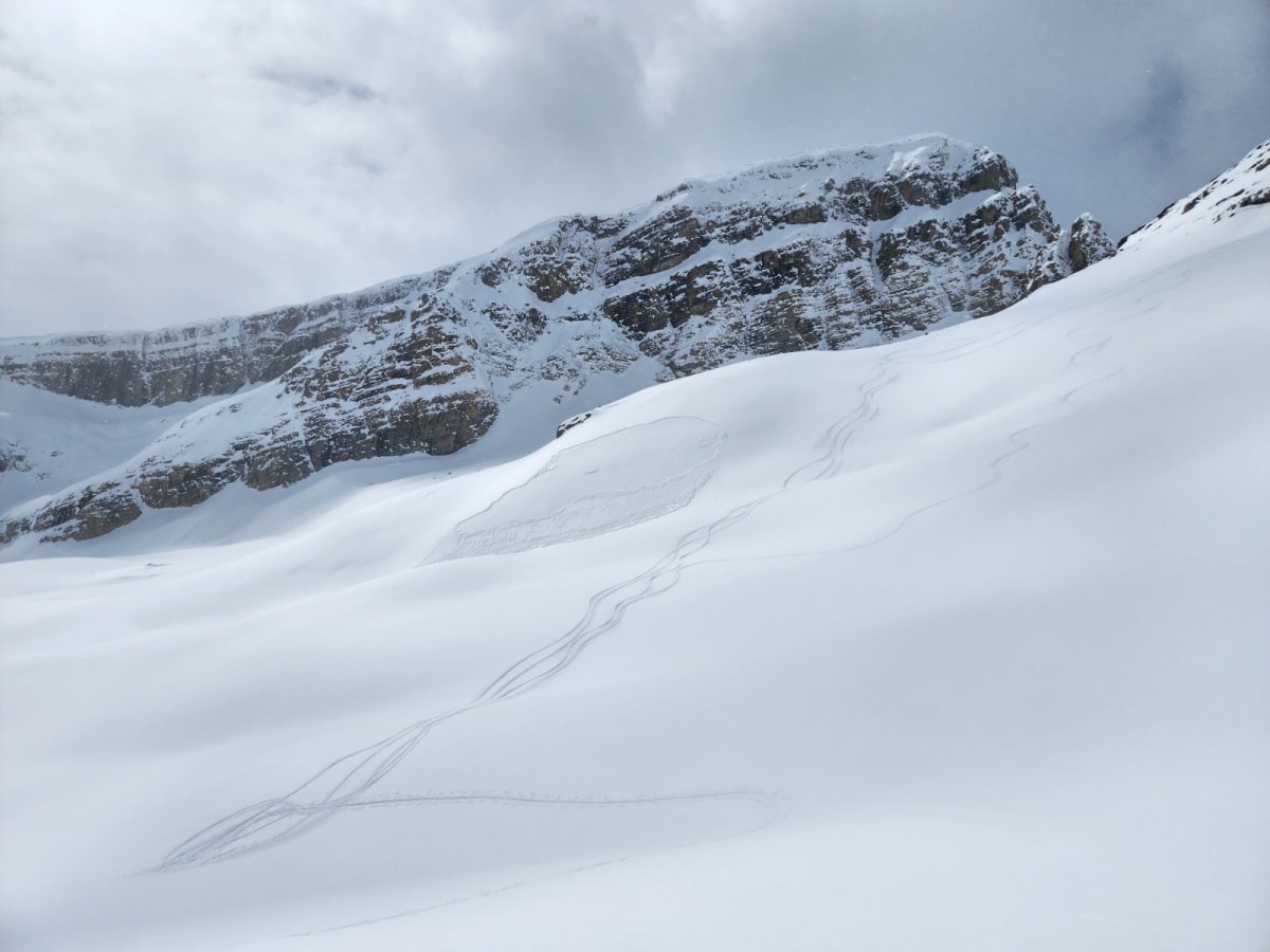 Skier remote 10-15cm deep from 50m away.