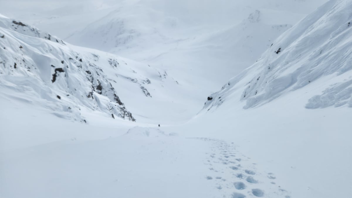 From the top (Taiya).