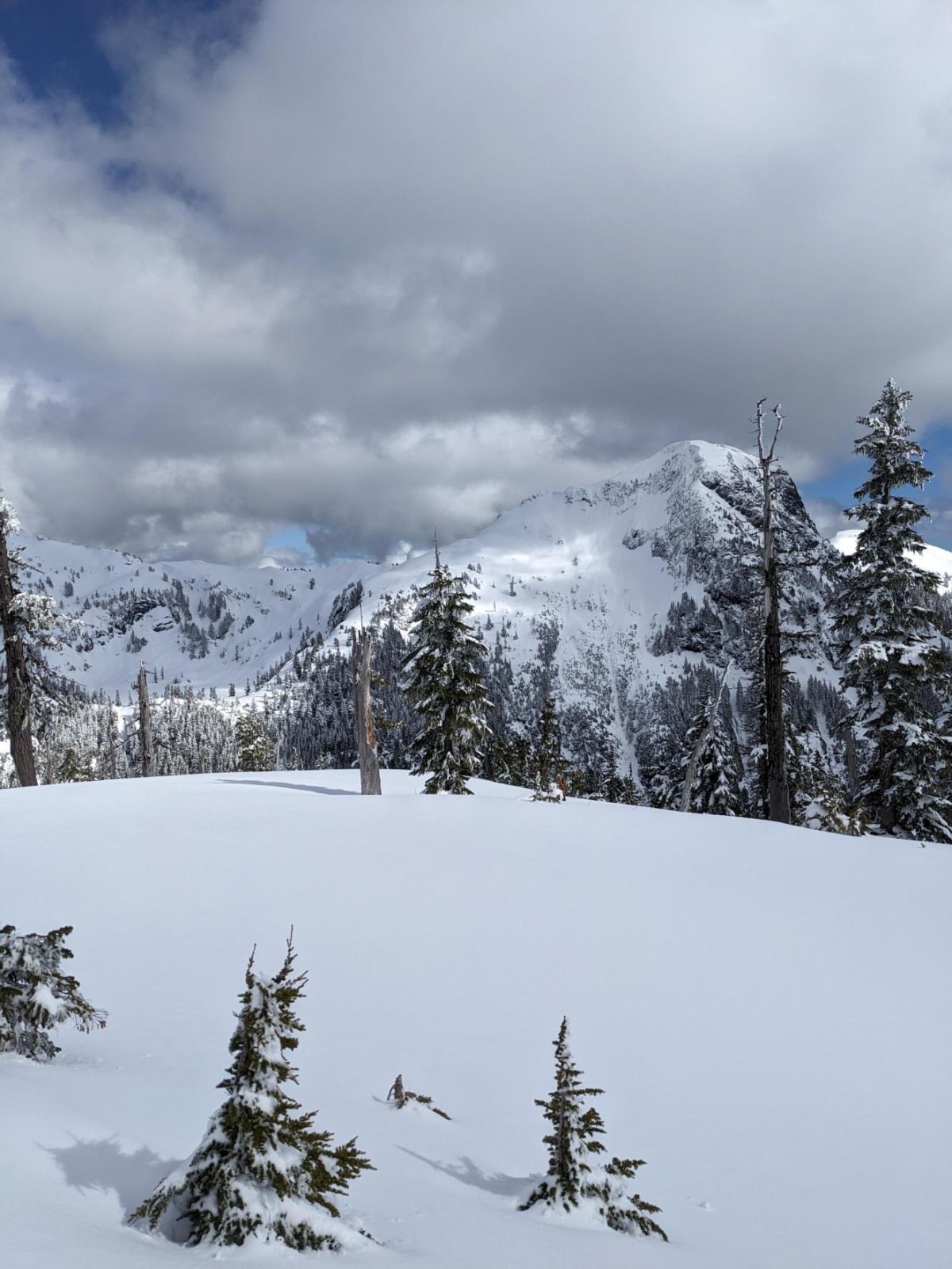 Looking towards the Knuckles 