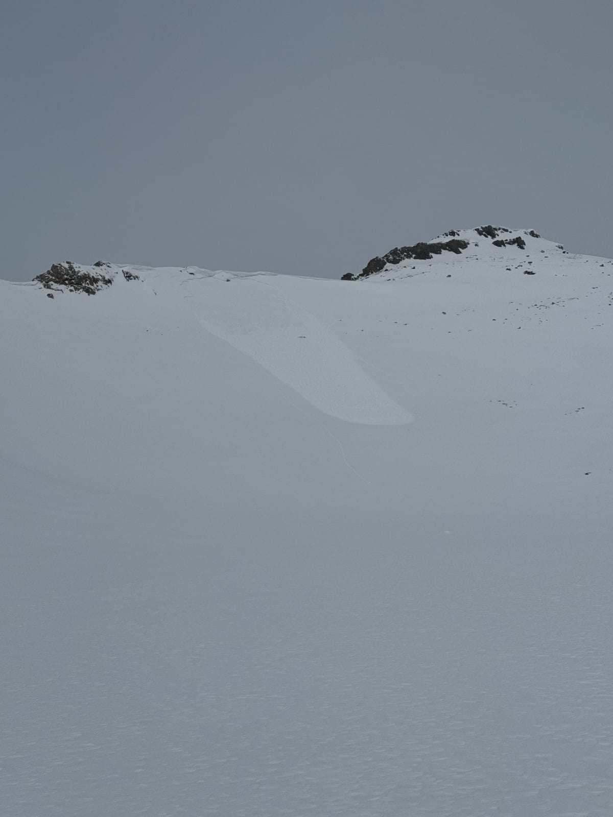 Na wind slab that went as I was taking picture. Size 1 initiated as soft slab but ran dry loose. Did not entrain much on slope . E/ Se wind loaded lee off the ridge. 