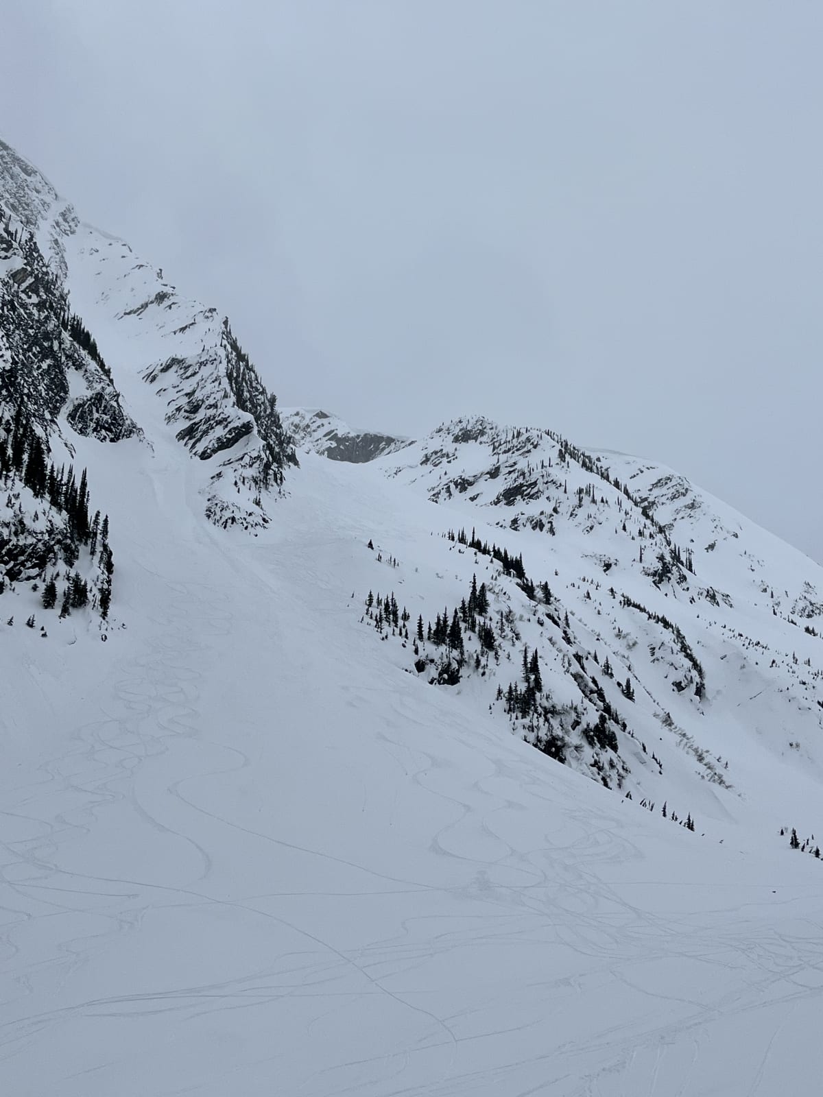 STS / North bowl, snow was good and powdery on the north aspects all the way down to 1700m