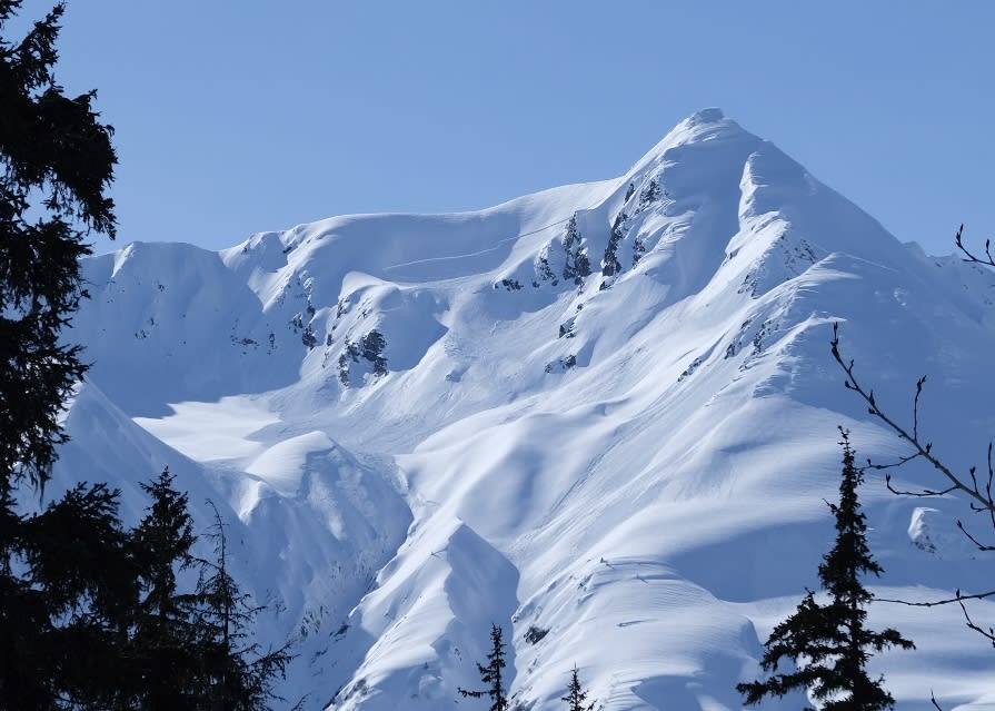 Natural avalanche off Mount McDonald that recently occured due to the fresh debris and previous day's snowfall.