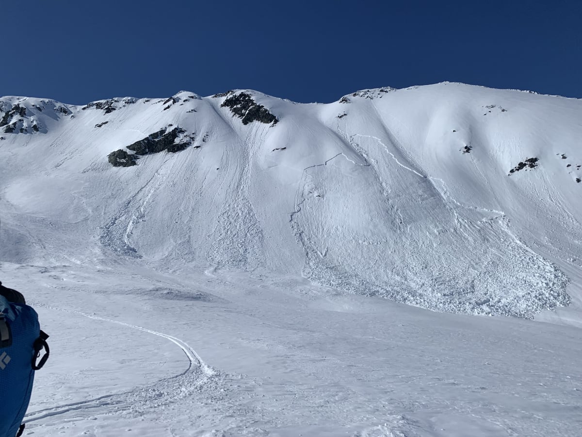 Recent naturals on a S aspect in the approach basin.