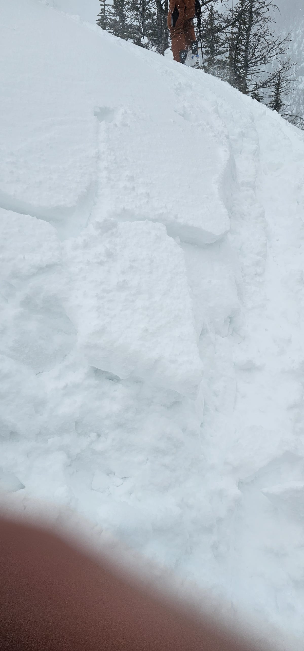 Alpine snow was wind slab sitting on top of rock hard crust.