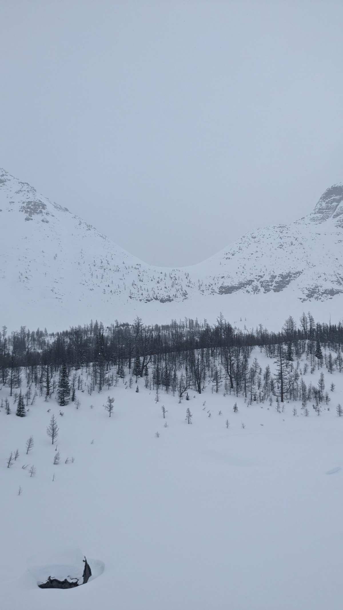 View of the pass leading to Taylor Lake. Bit boney, but it would work