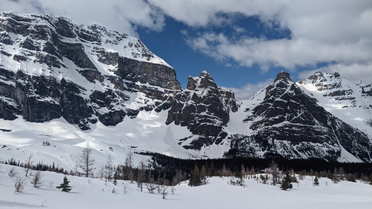 Lefroy, Mitre and Aberdeen