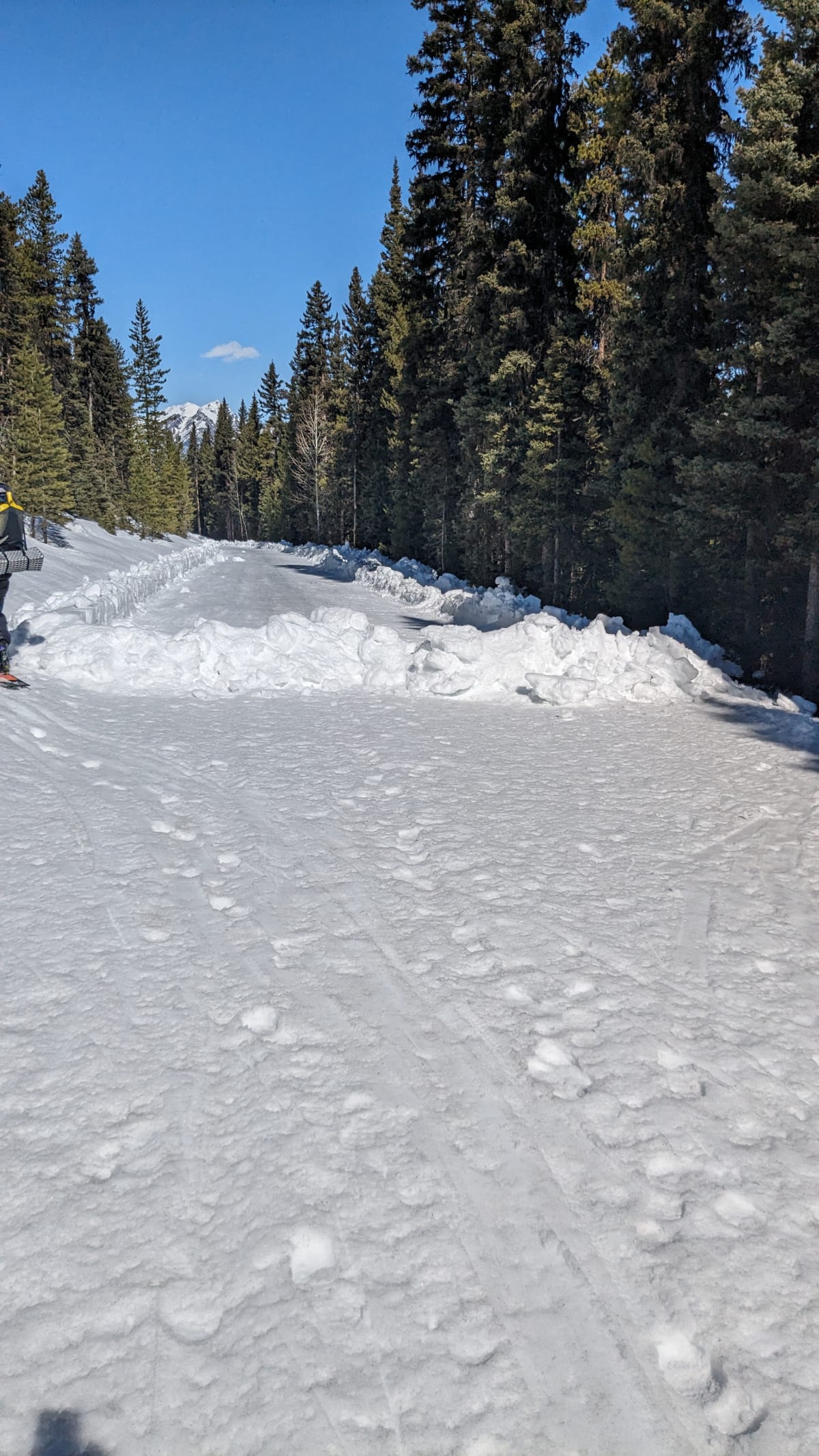 The moraine lake road has been plowed for 1.3km