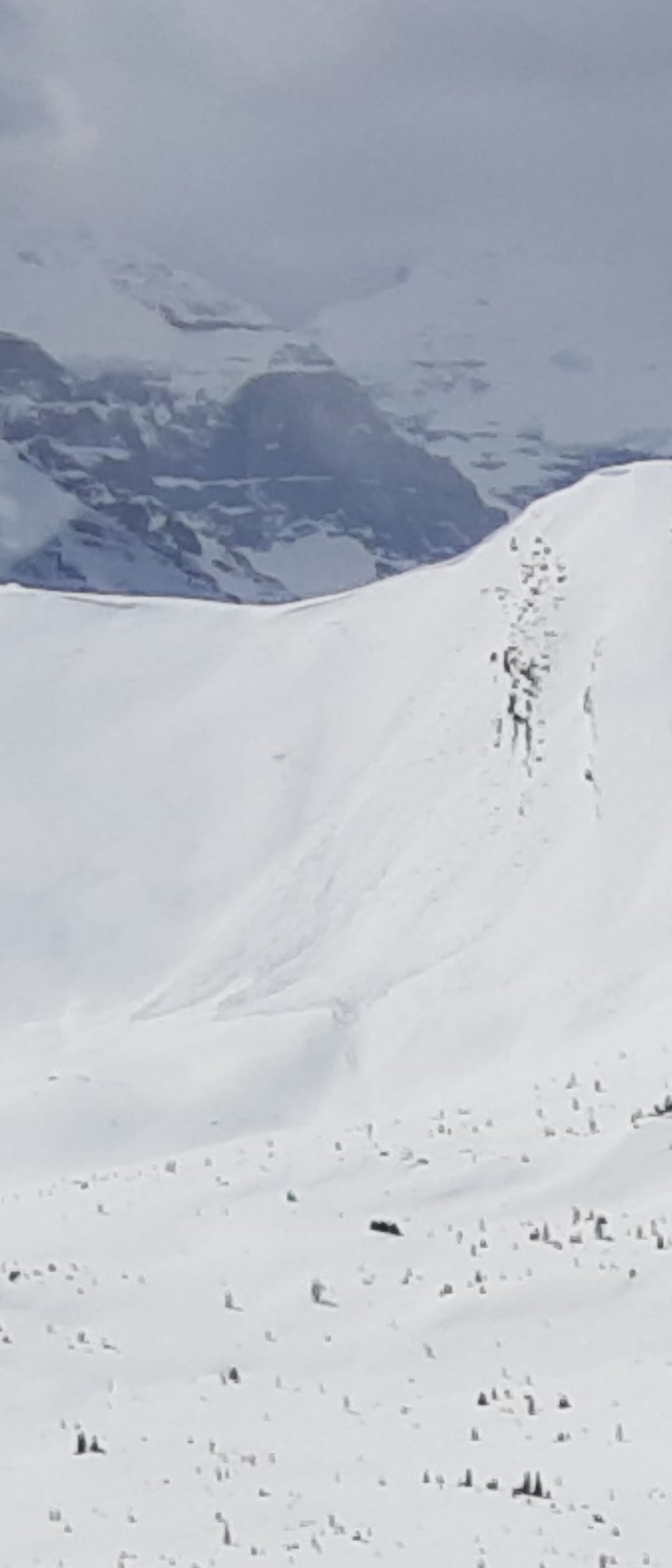 Another Persistent slab avalanche in hidden Bowl.  Looks up to a week old.