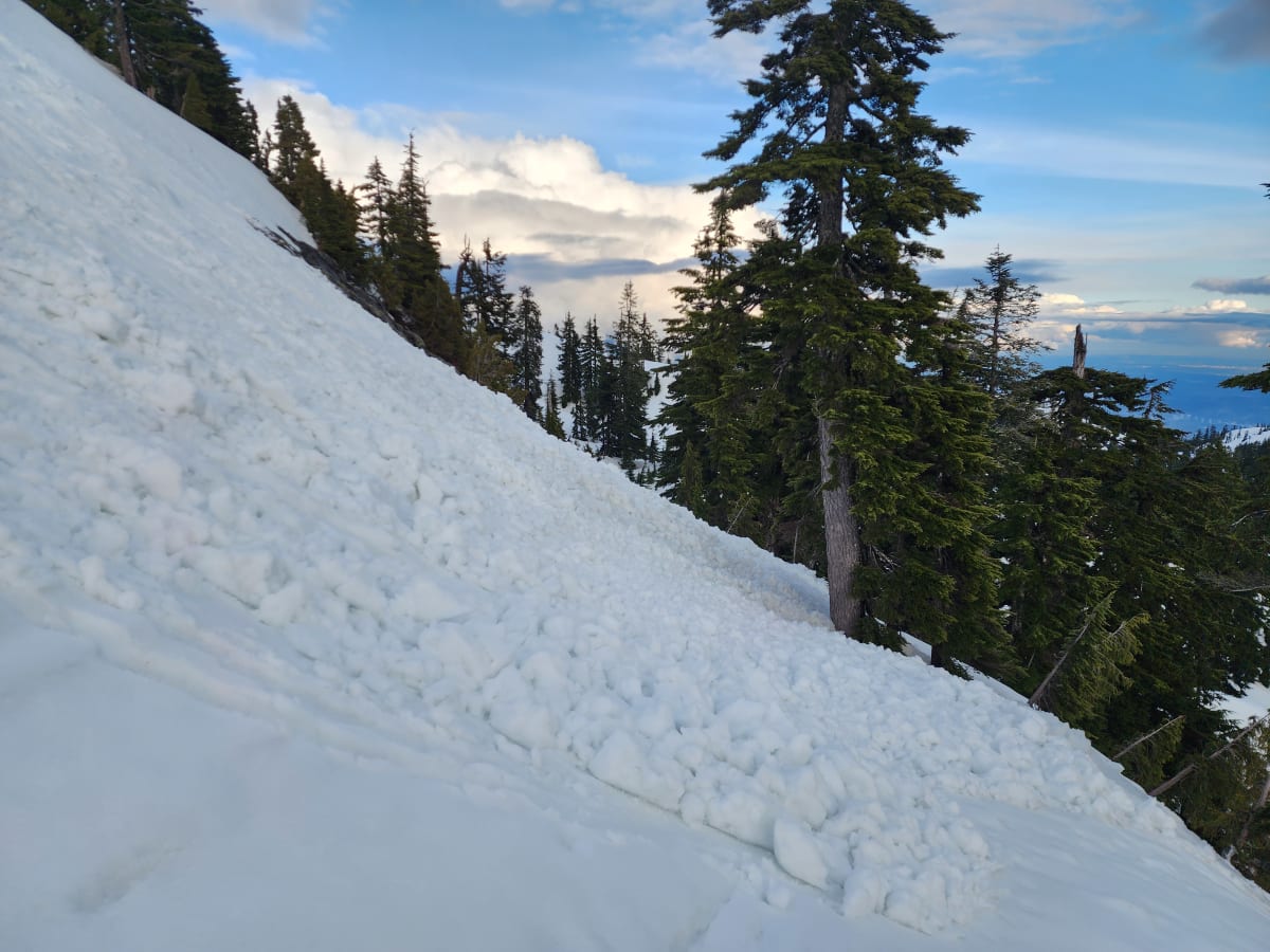 Debris of a wet lose avalanche triggered while side cutting 