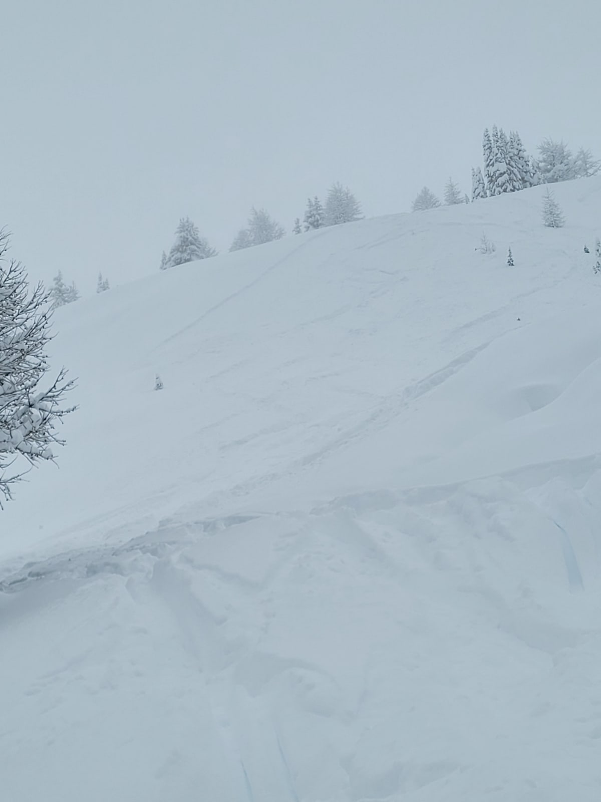 Skier triggered storm slab on the 18th