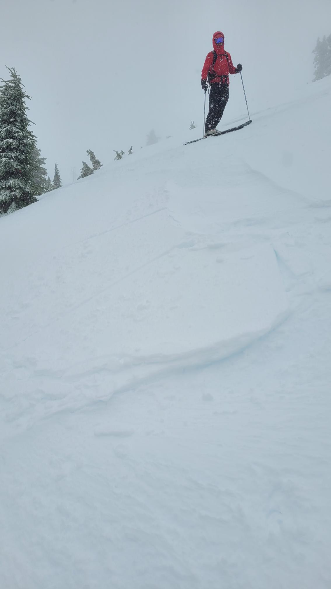 Lots of wind transport 