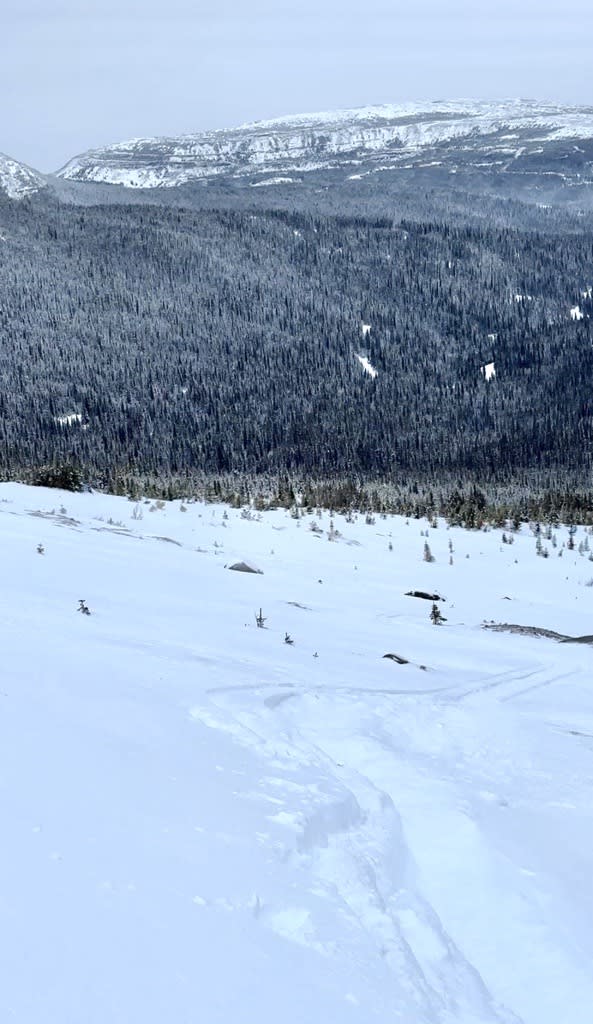 Scoured alpine ridge