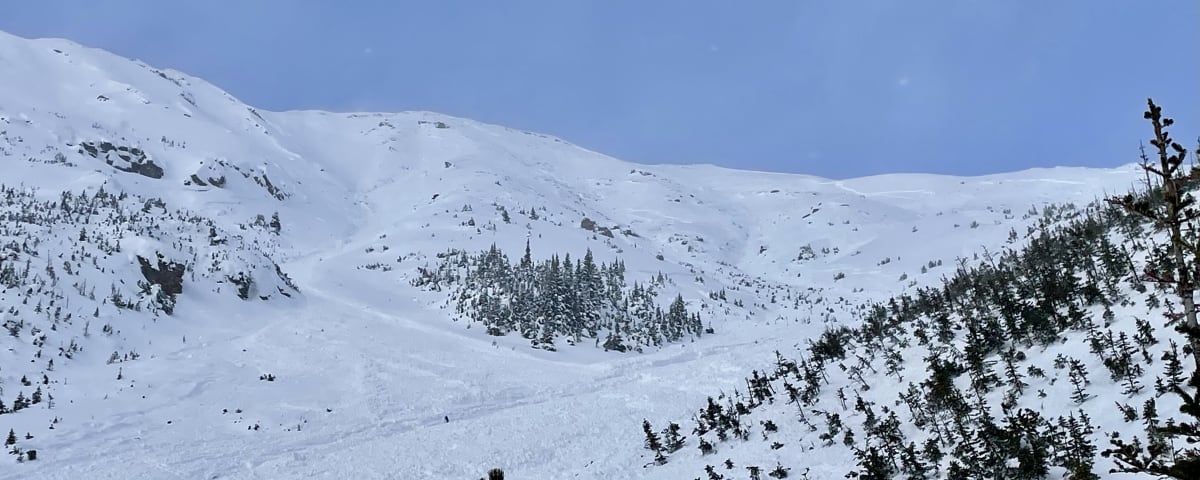 View of crown line from the bottom