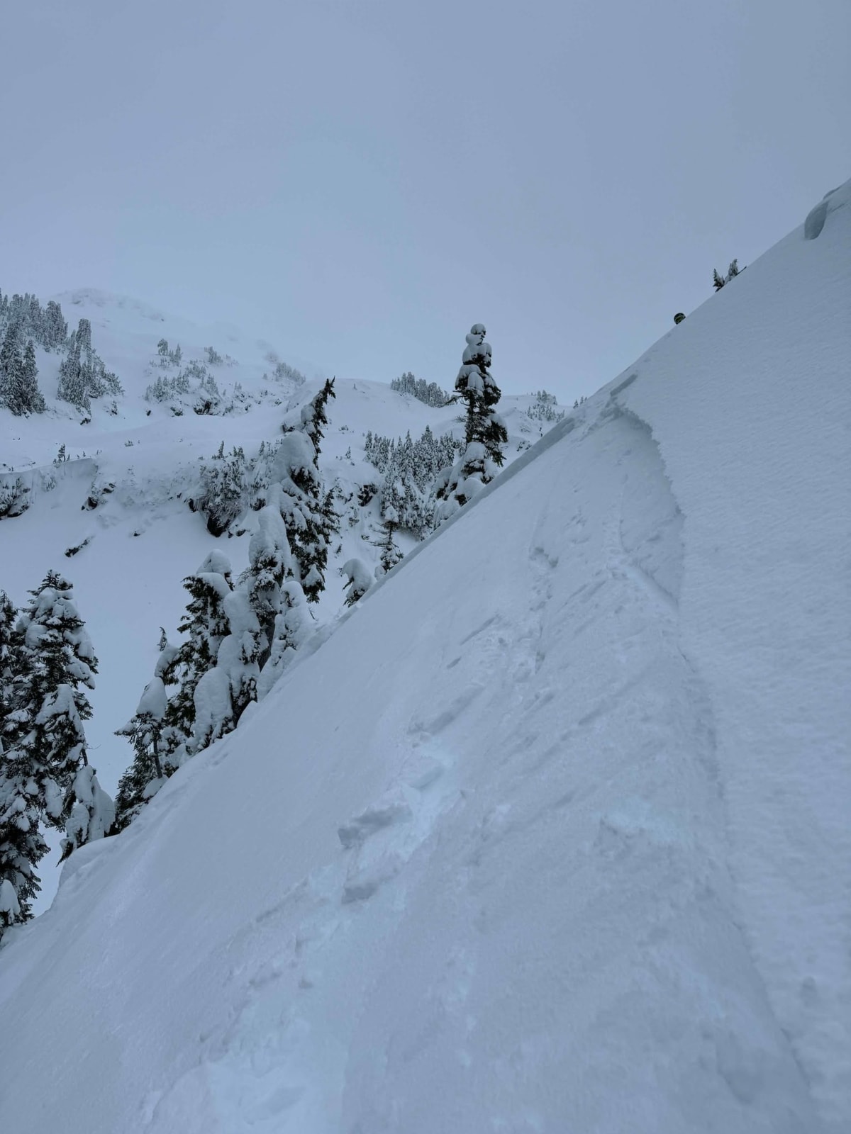 Skiing triggered slide