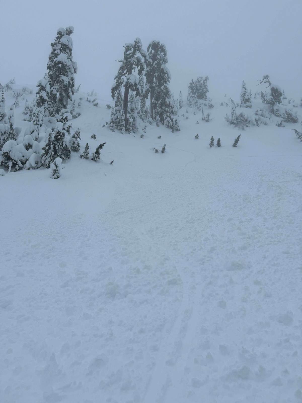 slide debris path - crown in upper left on ridge
