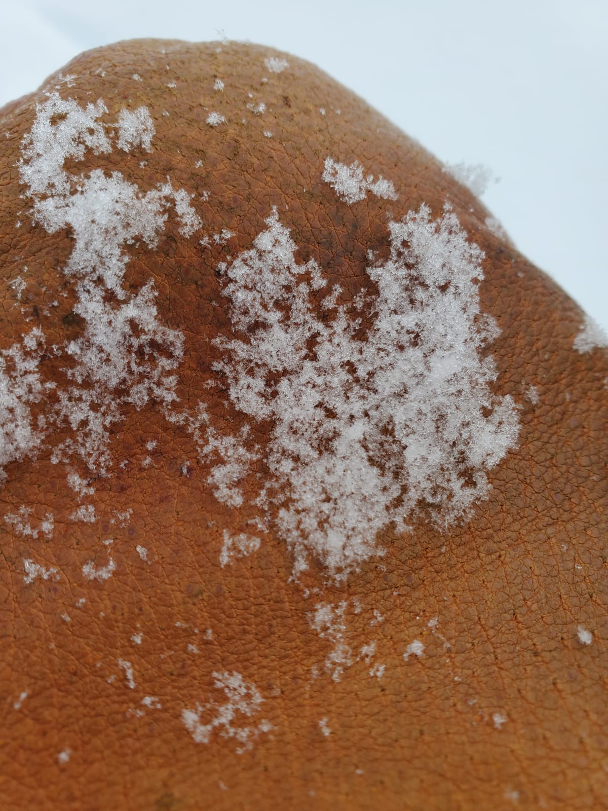 Forgot my lupe so will have to use your super sonic vision. Looked to be precipitation particles size 1-2