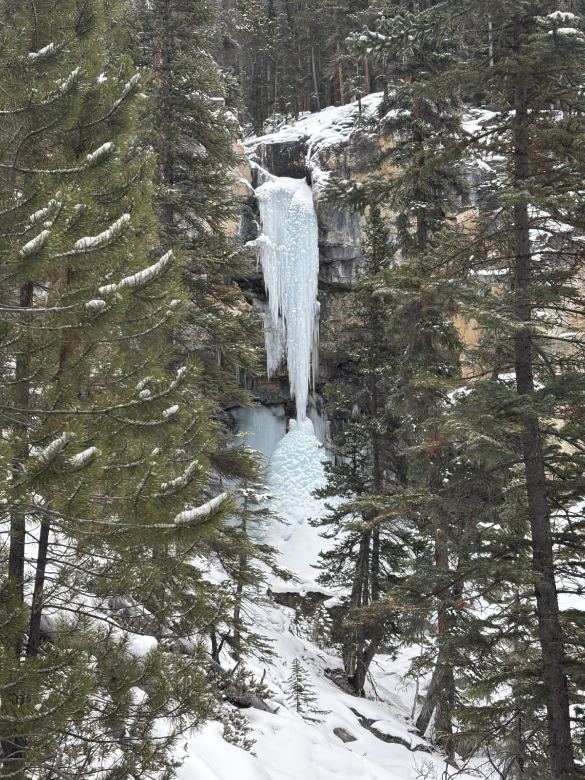 First Pitch wasn't in, but is easily walked around.