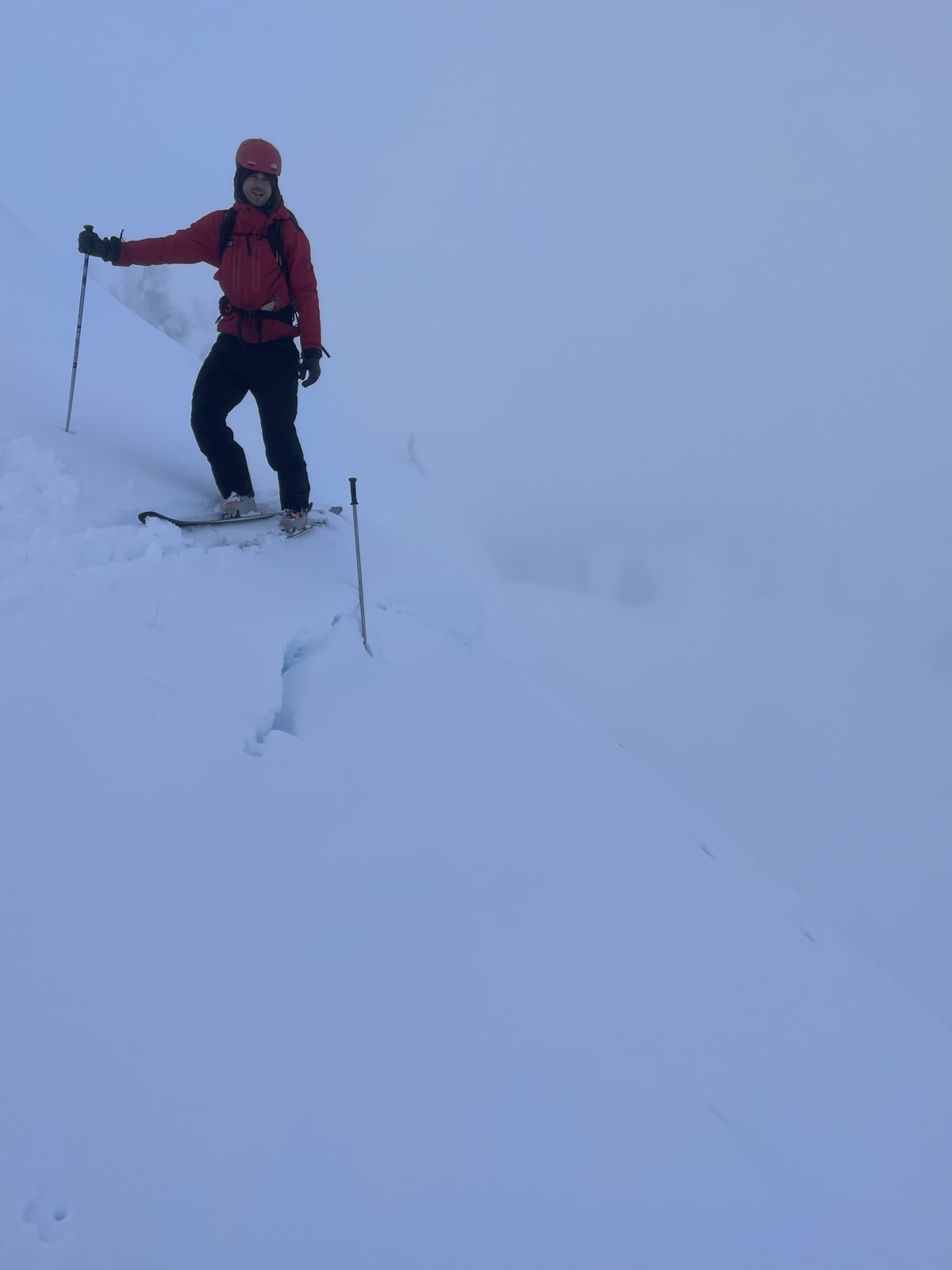 Large old crowns could be found, but were mostly filled in with new snow