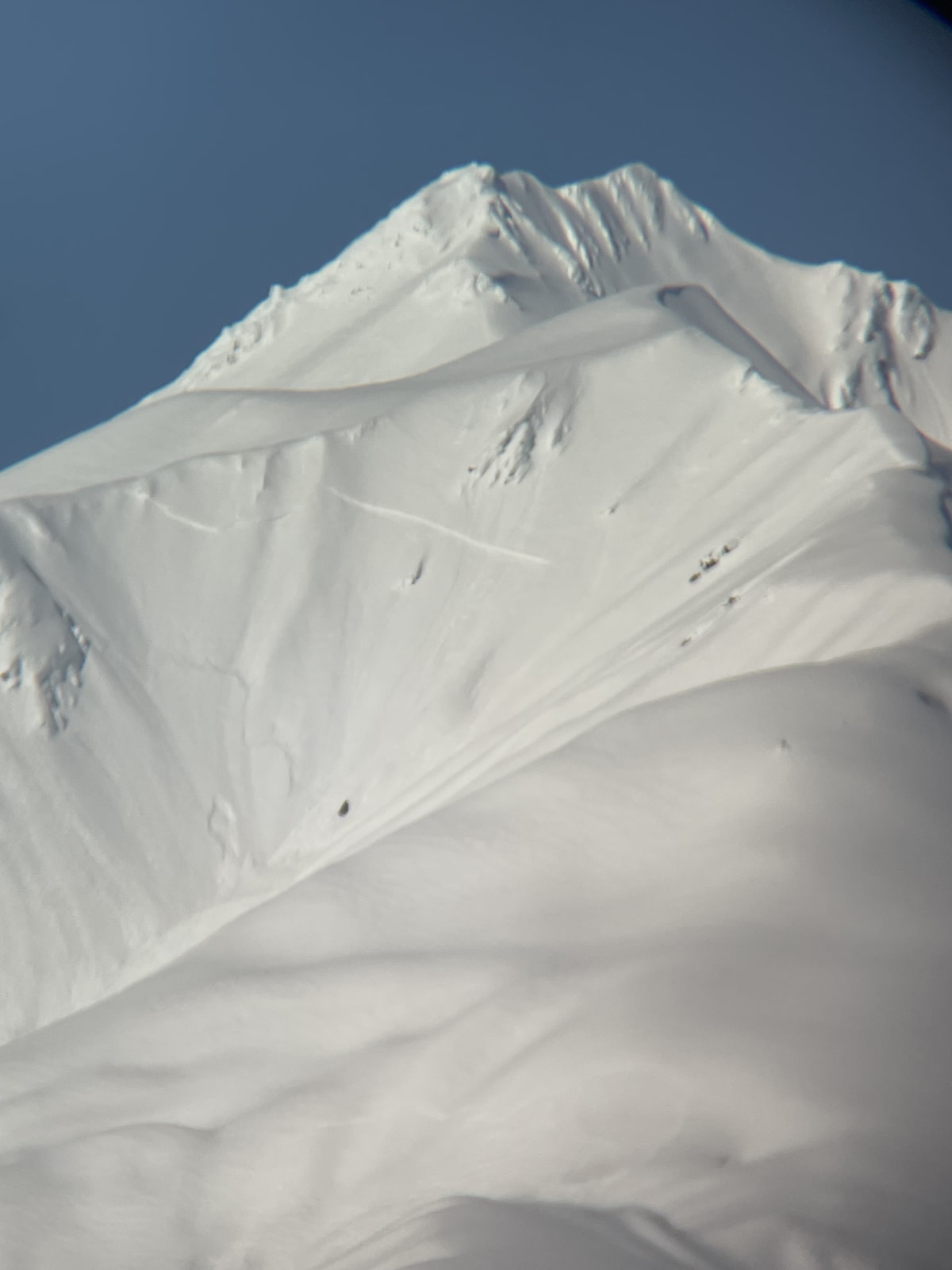Rainy hollow 1400m SE-aspect