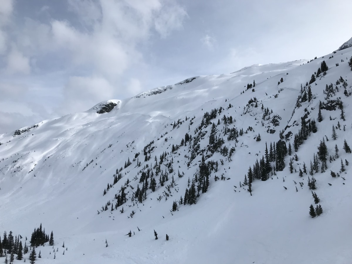 Note the crowns between the trees/cliffs as well