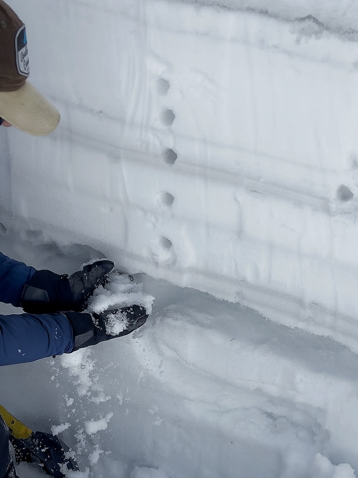 Even though the snowpack is moist top-to-bottom, we found the faceted PWL down 90 cm
