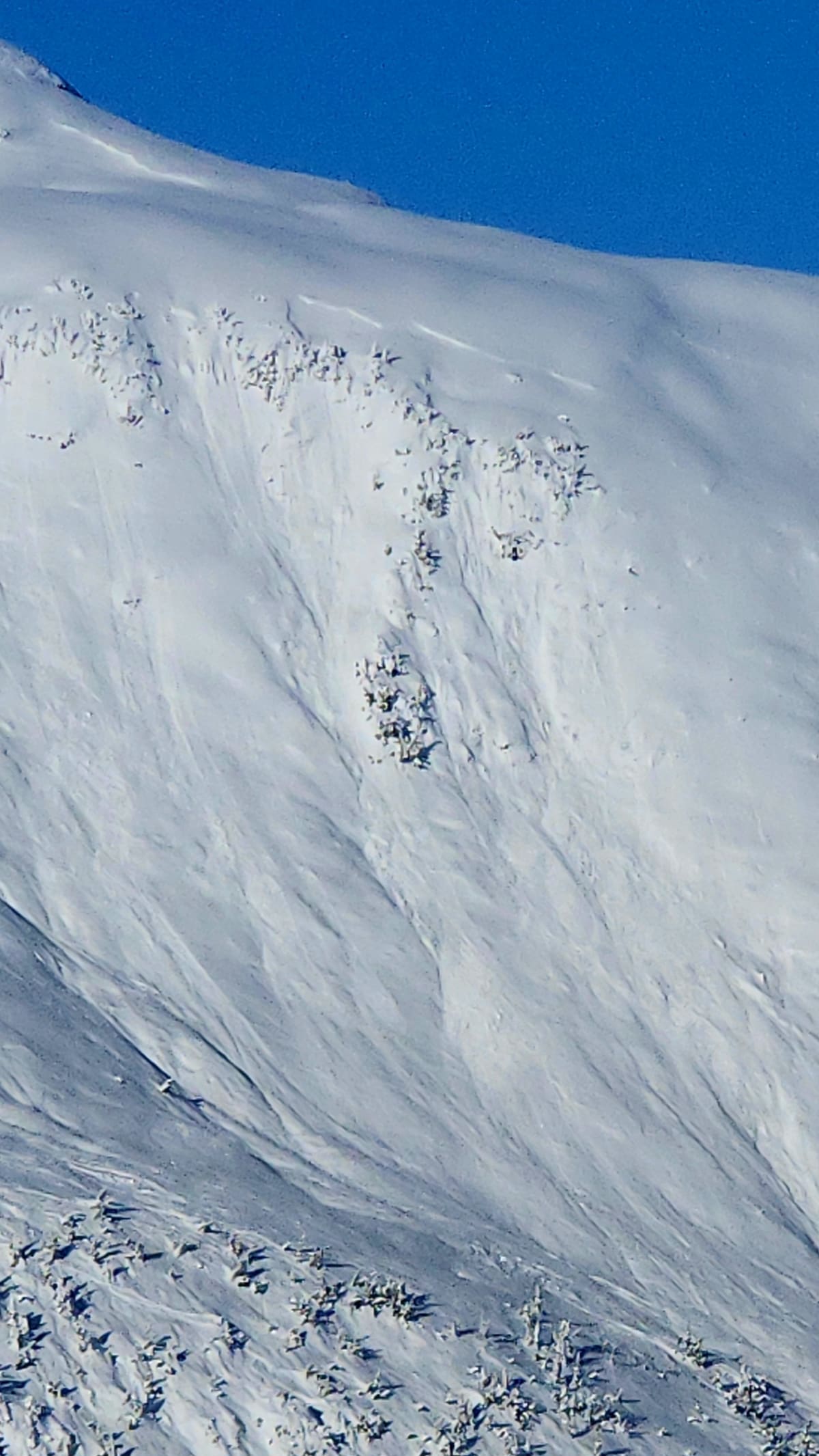 Old crowns Geronimo bowl