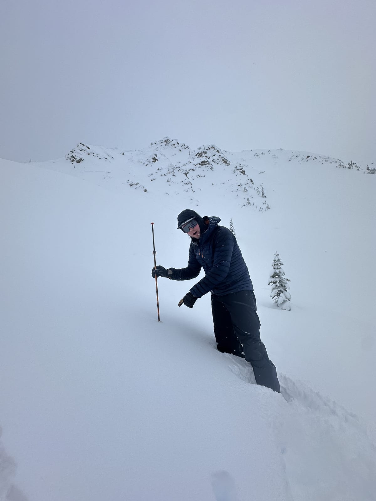 Found us a nice deep spot with 230cm 
of snow!