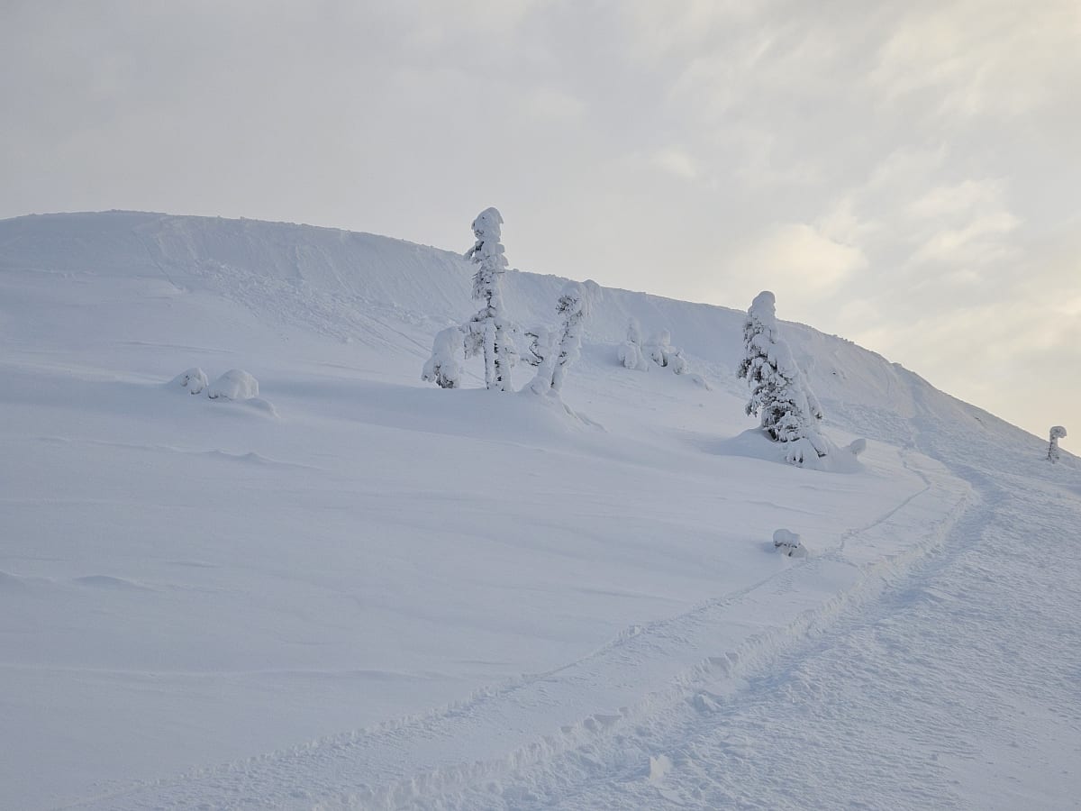Wind slab on a west aspect