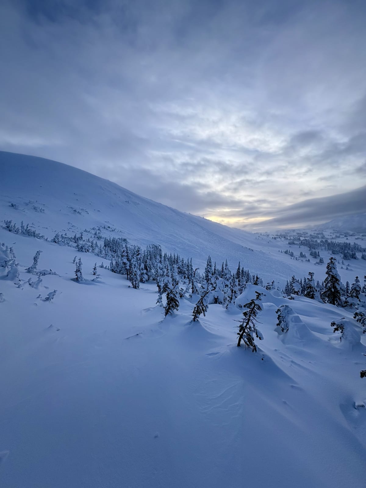 Another angle of the size 2 wind slab avalanche we observed today.