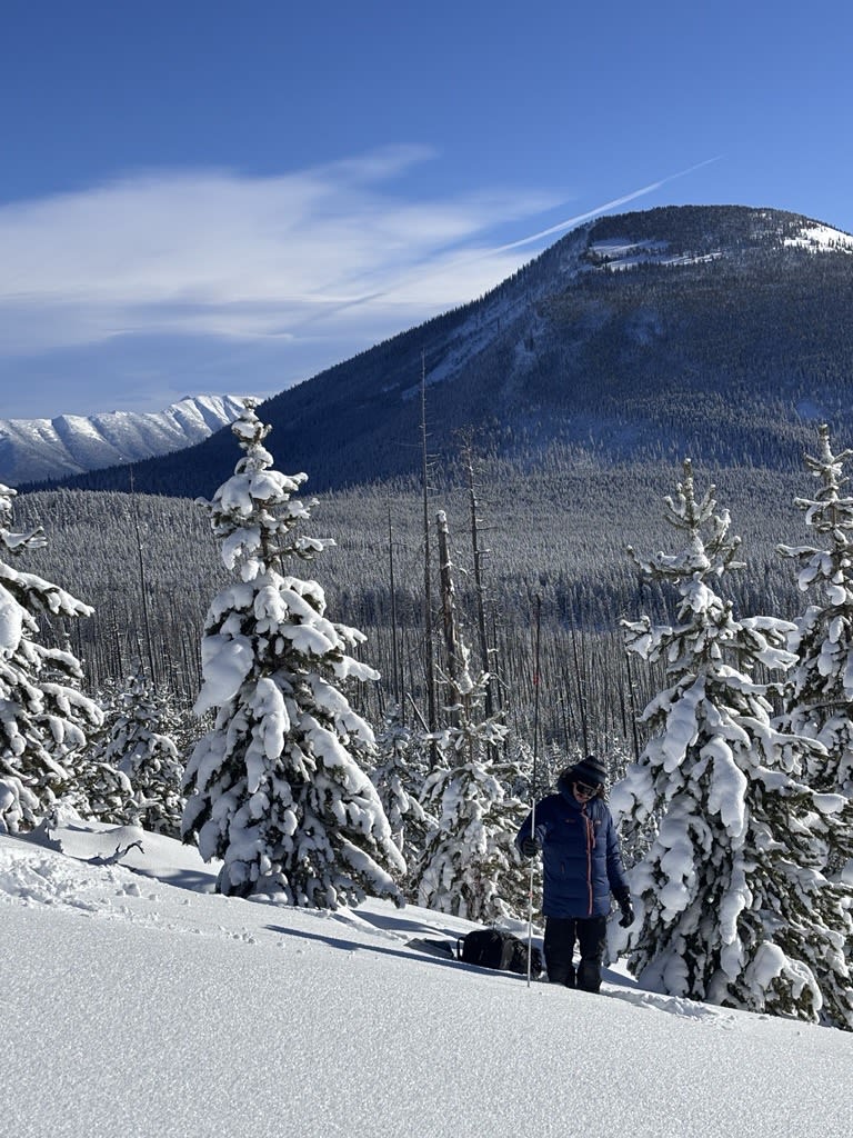 Todays pit location at 2000 m on a SE aspect