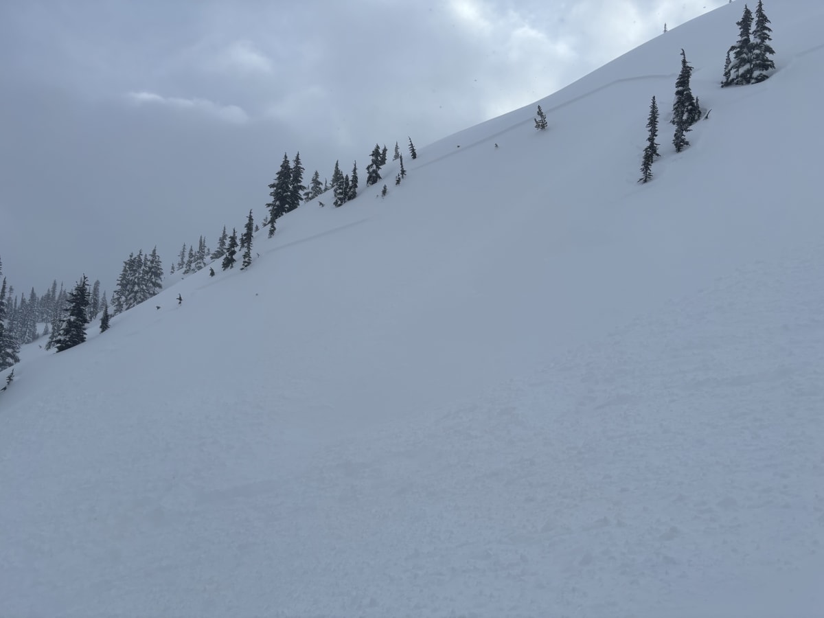 Propagation was the entire length of the ridge from the trigger point…..perhaps 200m.