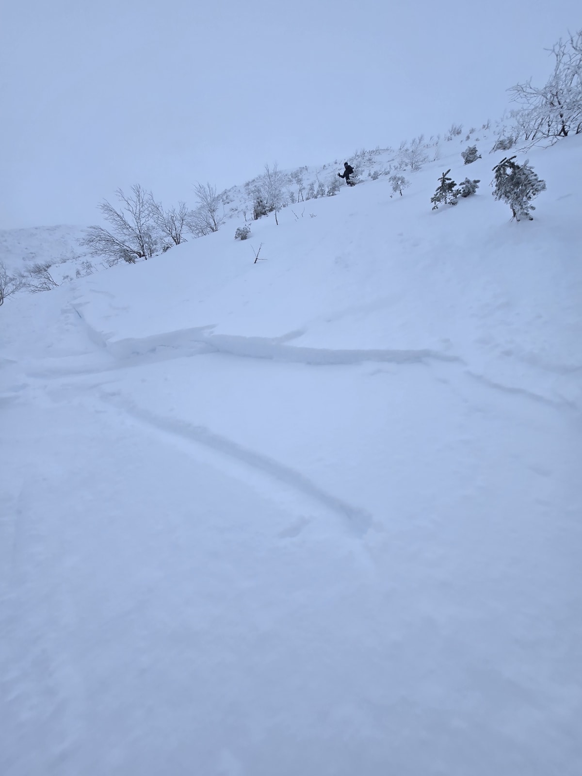 +- 25cm