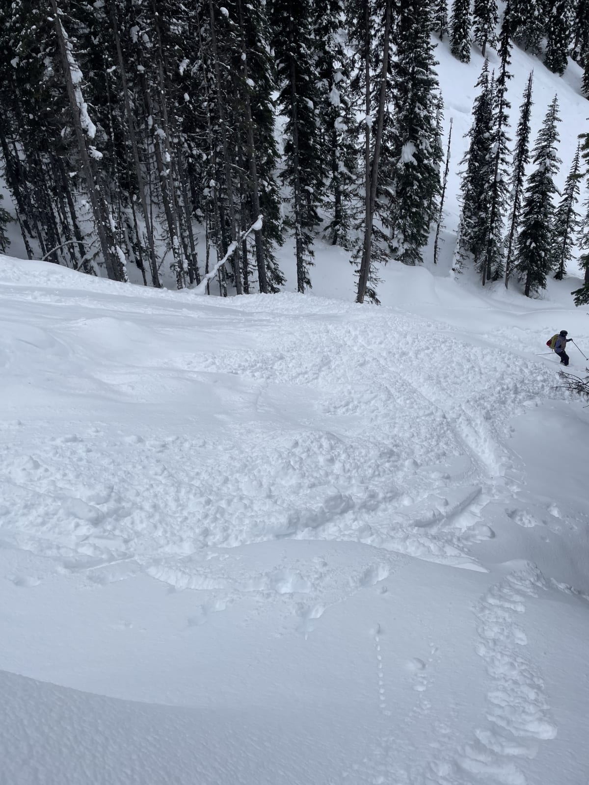 This is a nice picture of our size 0.5 skier triggered incident 
