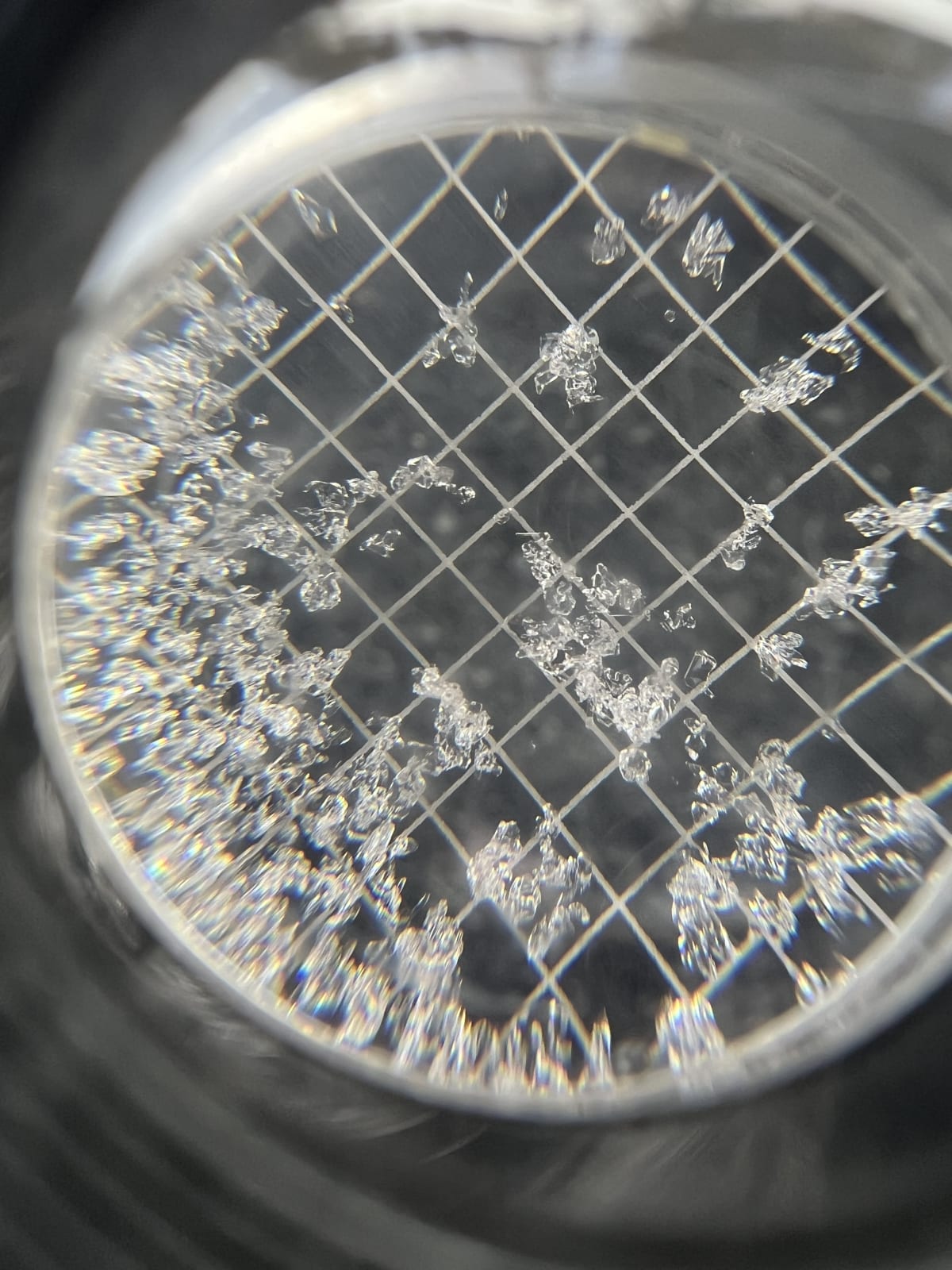 Facets make up the majority of the snowpack